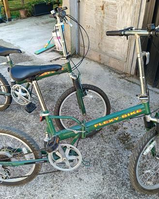 bicicletta pieghevole 