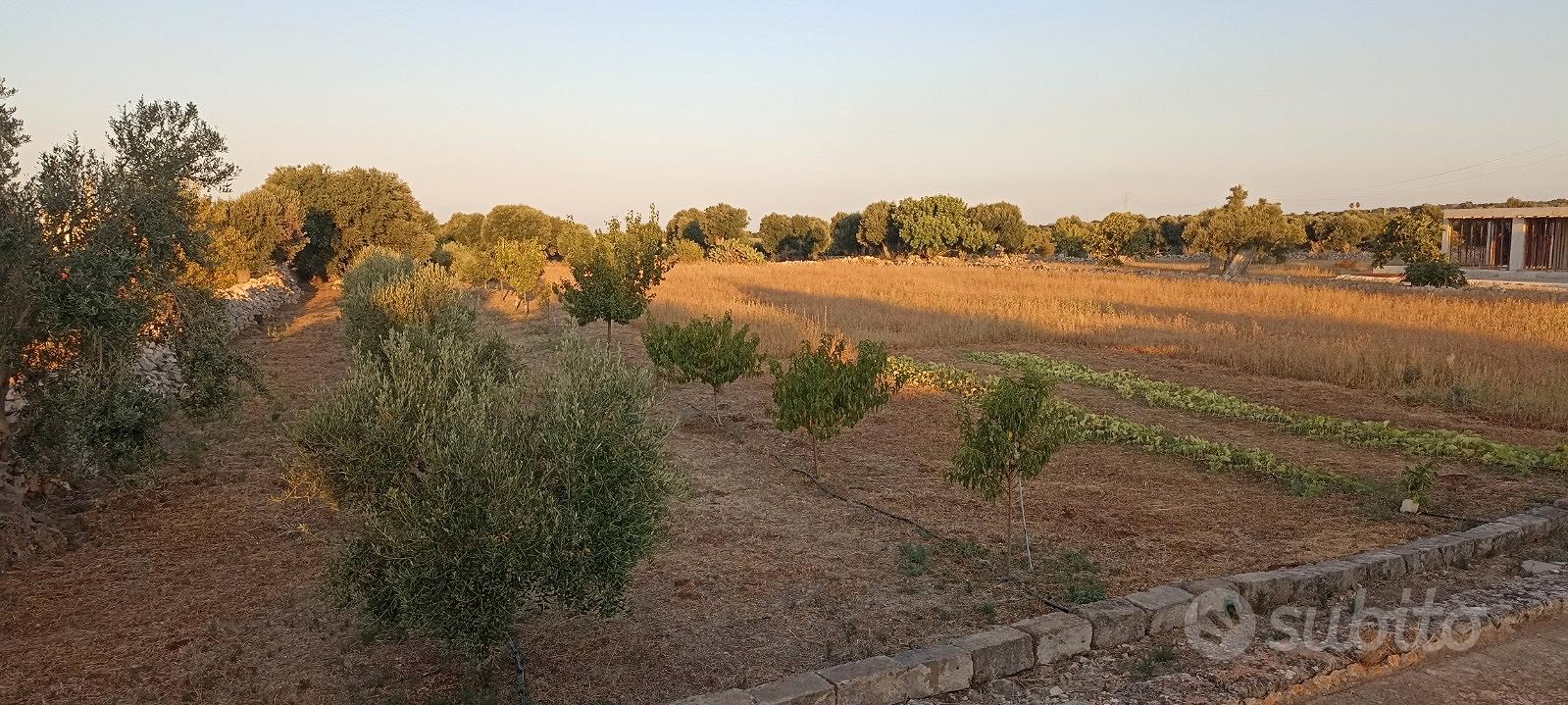 Terreno con progetto approvato a Polignano a Mare - View 4
