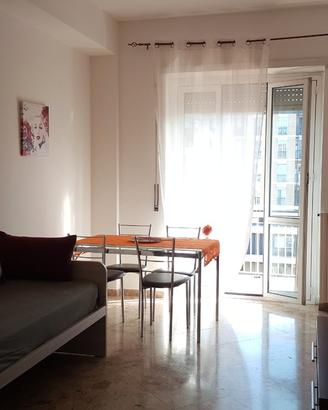 Ampio bilocale vicino Ospedale Bassini-Multimedica