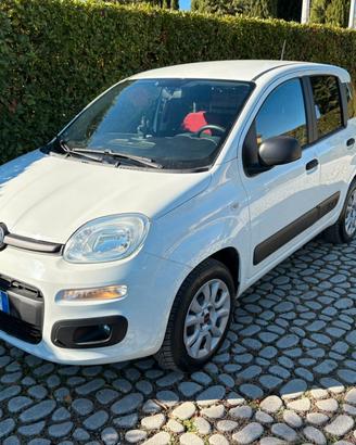 FIAT Panda 0.9Turbo S&S 4x4 Eld Pop N1-Van - 2019