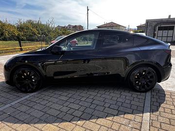 TESLA MODEL Y RWD