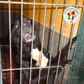 NANCI sono tanto coccolona