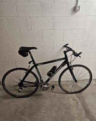 Colnago Freedom 