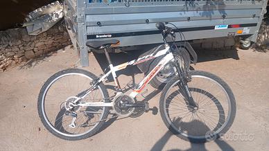 Bicicletta