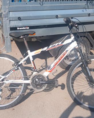 Bicicletta