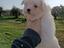 Immagine 5