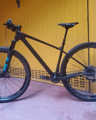 Focus Raven carbon 29