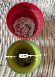 Coppia vasi piante coprivaso portapiante