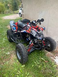 Quad Polaris predator 500e