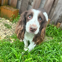 SARA, nella sua vita ha conosciuto solo dolore