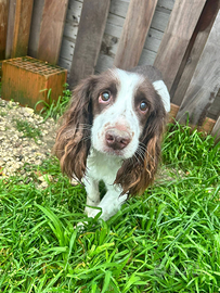 SARA, nella sua vita ha conosciuto solo dolore