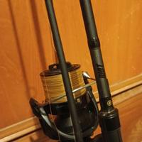 Canne Carpfishing 10ft 3lb wychwood riot mk2