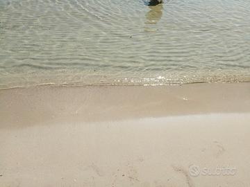 Salento mare puglia casa e piscina Brindisi
