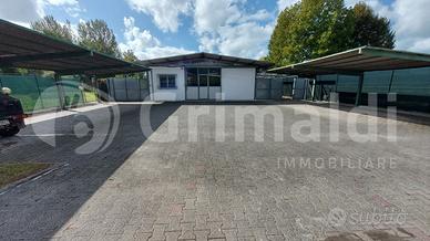 Capannone Industriale Massa [L.56ACG]