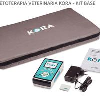 Magnetoterapia veterinaria