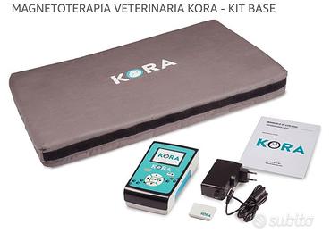 Magnetoterapia veterinaria