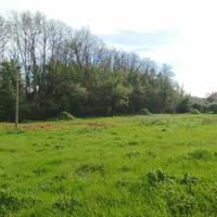 Terreno fronte strada via della caranella velletri