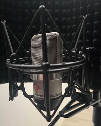 Neumann TLM 102 mic, supporto antivibrazione, più