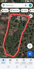 Casa con uliveto e frutteto