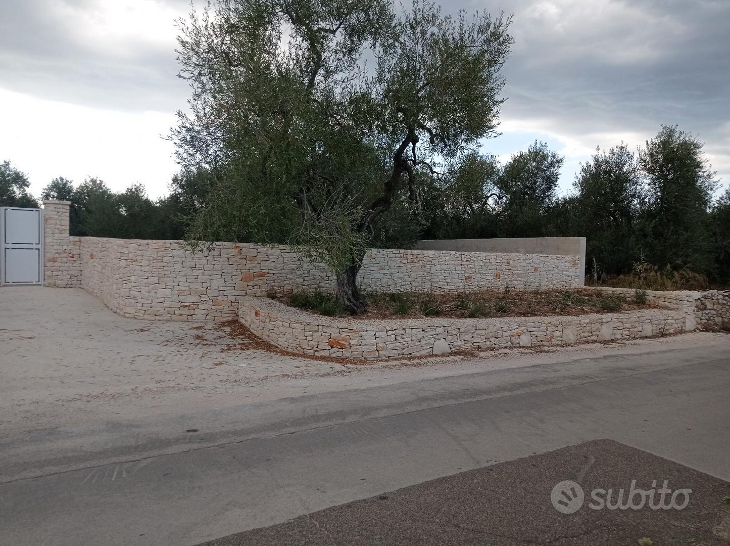 Terreno agricolo - Vista 3