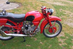 Moto Guzzi Altro modello - 1951