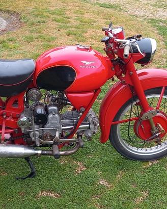 Moto Guzzi Altro modello - 1951