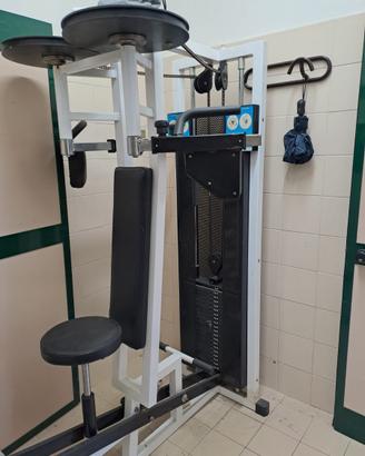 Pectoral machine / Dorsali