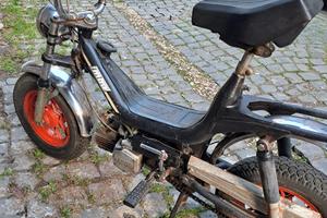 Benelli Altro modello - 1982