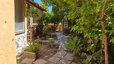 Monolocale arredato con giardino