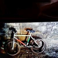 bicicletta marca GIRARDENGO CROSS
