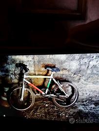 bicicletta marca GIRARDENGO CROSS