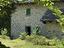 Immagine 7