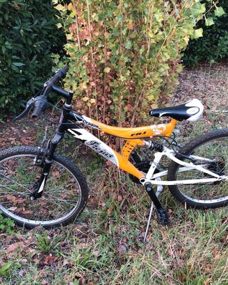 Bicicletta bambino