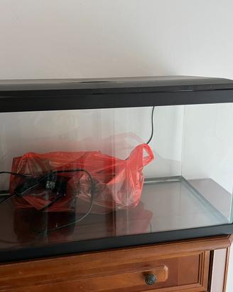Acquario 50 l