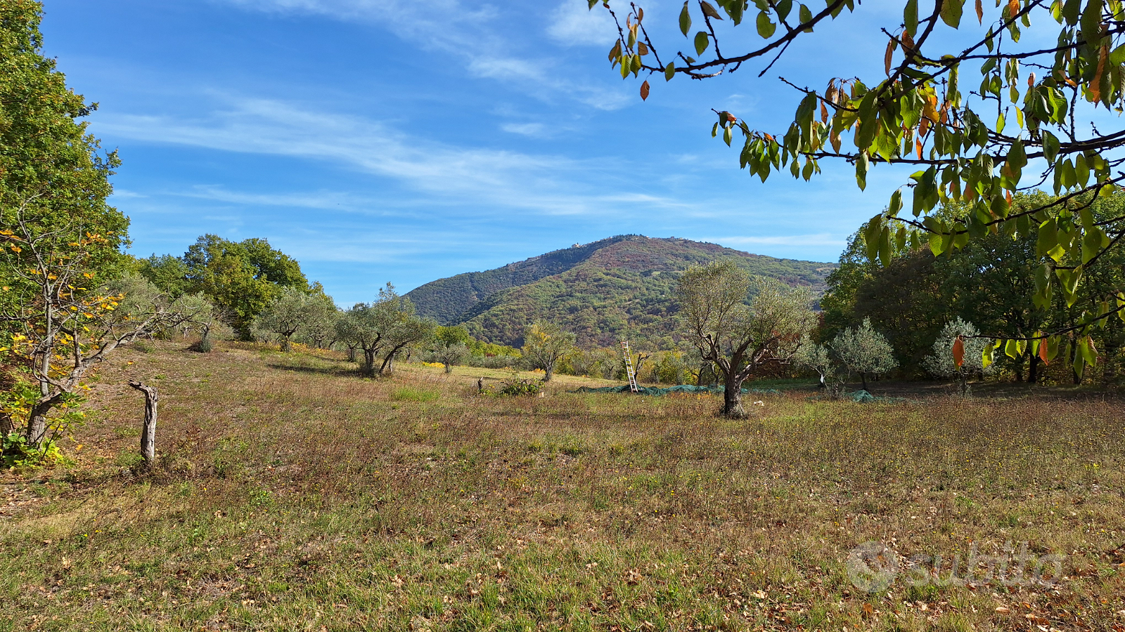 Terreno pianeggiante, da valutare fotovoltaico - Vista 2