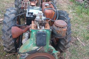goldoni export  diesel 