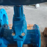 SARACINESCA CUNEO GOMMATO DN 150 PN 16
