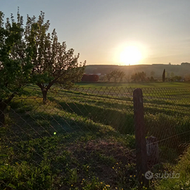 Vendita terreno Empoli