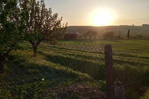 Vendita terreno Empoli