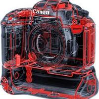 CANON 7D mark II + battery grip + 50mm f/1.8
