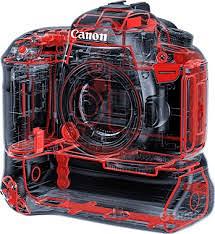 CANON 7D mark II + battery grip + 50mm f/1.8