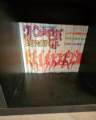 Esplorando il corpo umano