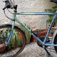 mountain-bike lambobike in buone condizioni 