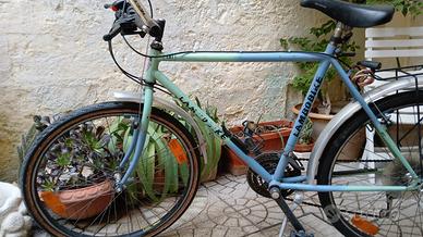 mountain-bike lambobike in buone condizioni 