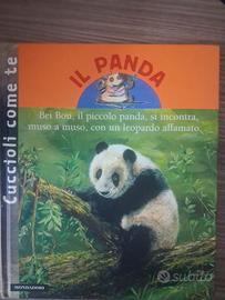 il panda