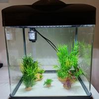 Acquario Laguna Led 30 completo + prodotti