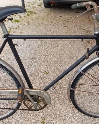 Bici per tutti i giorni