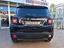 Immagine 7