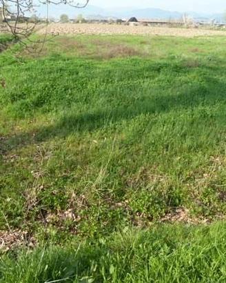 Terreno di 750 m² a Porcari
