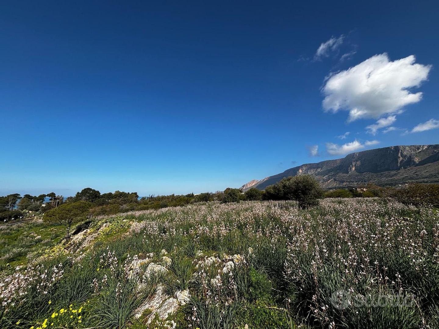 Terreno, Terrasini. - Vista 6